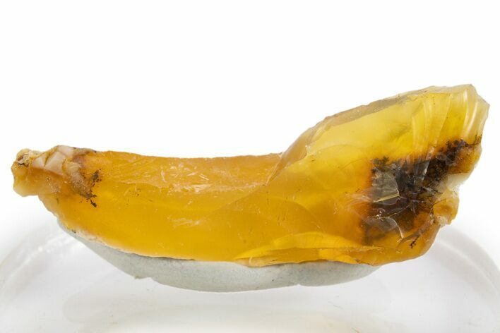 Rough Oregon Fire Opal #324011